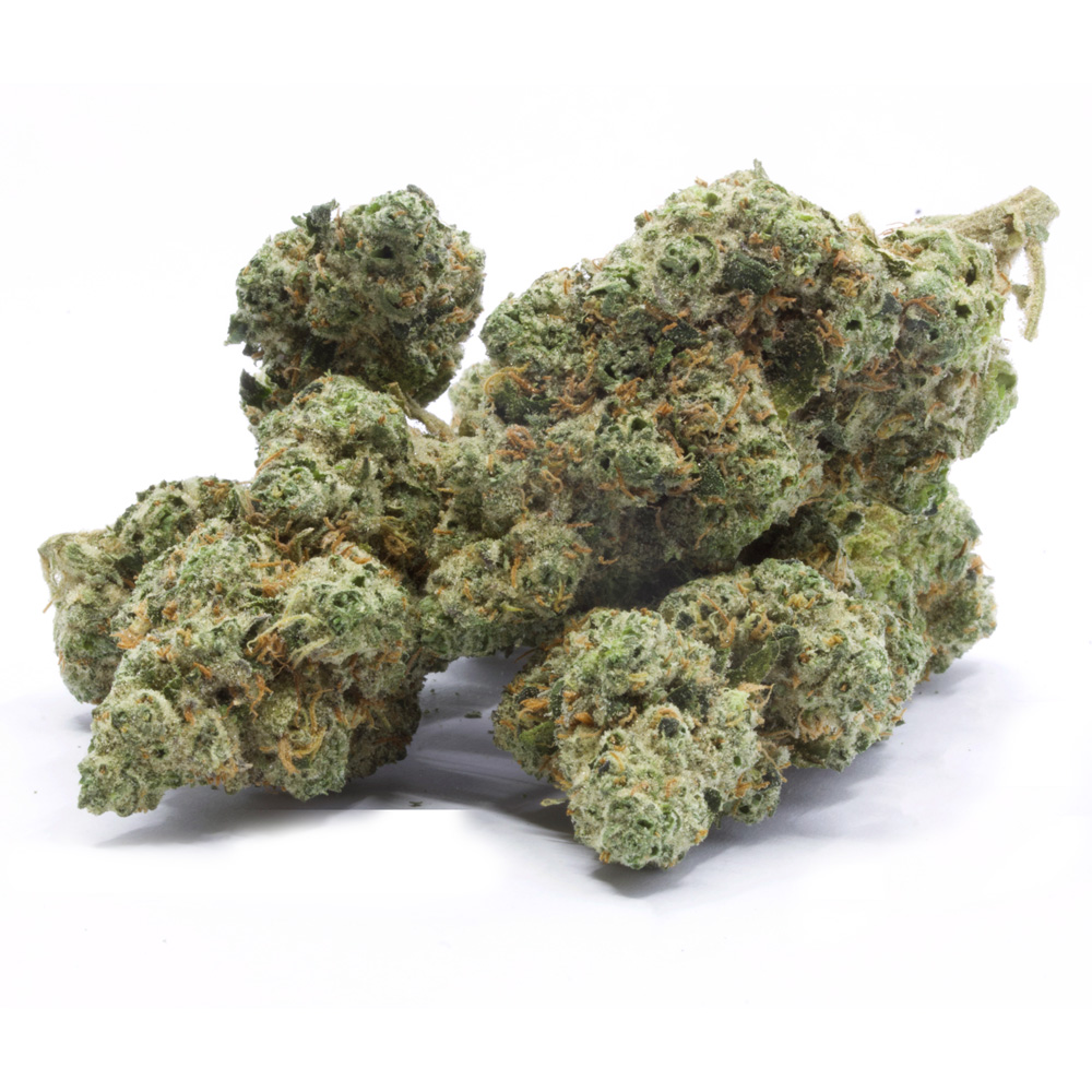 Buy Gary Bahama Strain Online UK