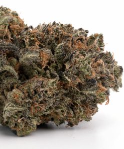 Buy Bubba Kush Strain UK