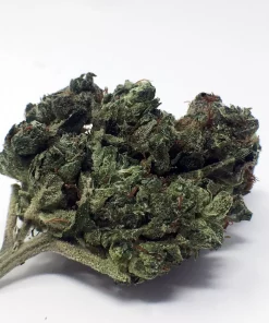 Buy Orange Diesel Marijuana Strain UK