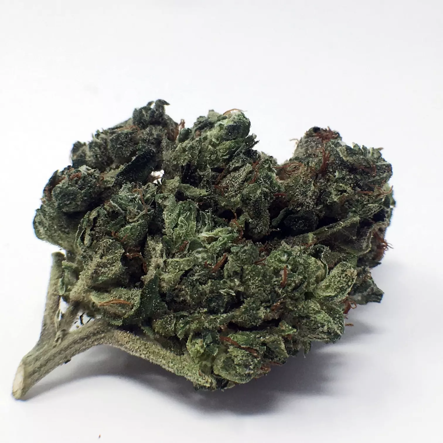 Buy Orange Diesel Marijuana Strain UK