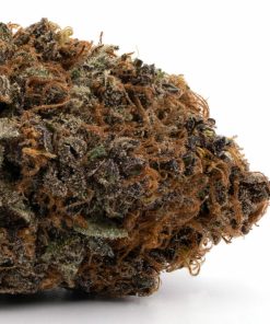 Buy Congo Strain UK