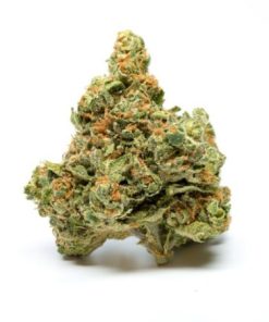 Buy Skywalker OG Strain UK