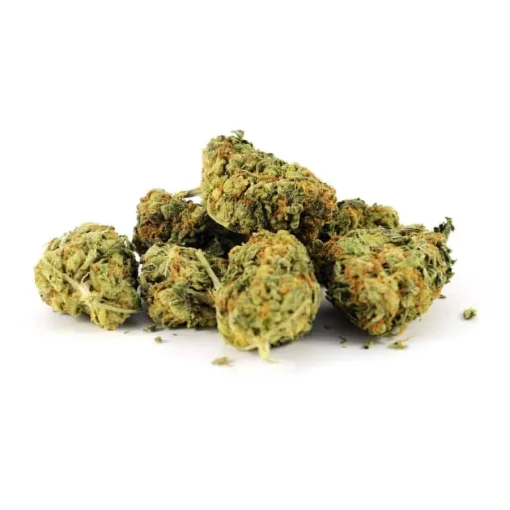 Buy gigabud-weed-strain Online UK