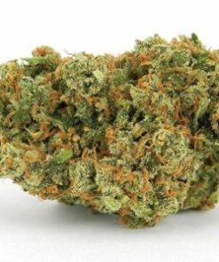 BUY Jack Herer  Strain  UK