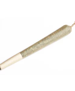 House Blend preroll UK