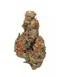 BUY Panama Red Strain UK