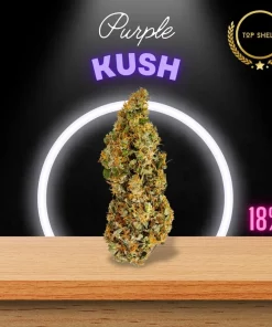 BUY Purple Kush UK