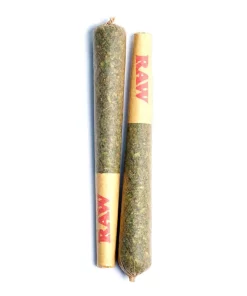 Talking Trees Tropical Trifecta x Georgia Pie 0.6g Infused Pre-roll (2pk) 31.95% THC